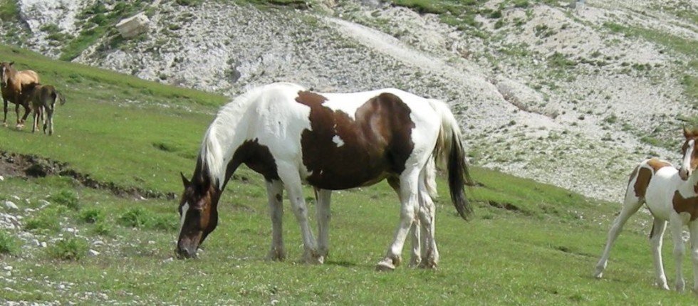 A pochi chilometri dal monastero la rinomata località sciistica.